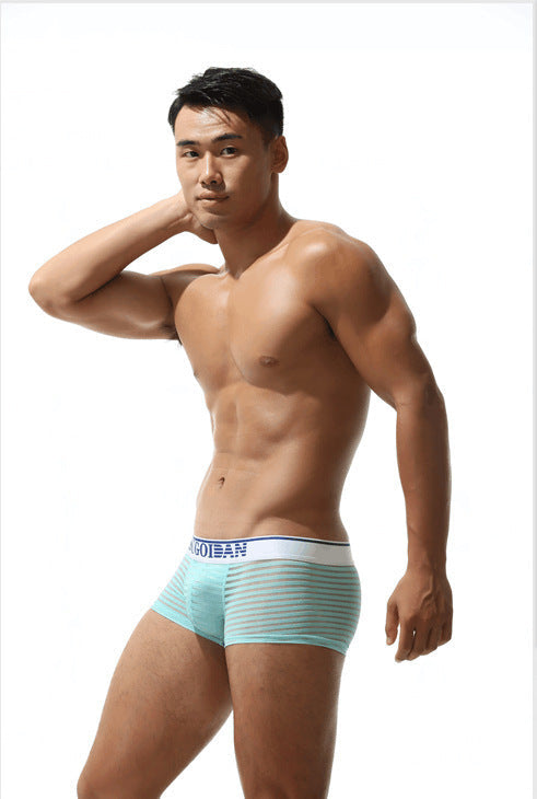 Men's Sexy Transparent Striped Trunks