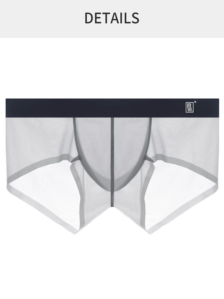 Men's Transparent Sexy Ice Silk Seamless Boxer Briefs