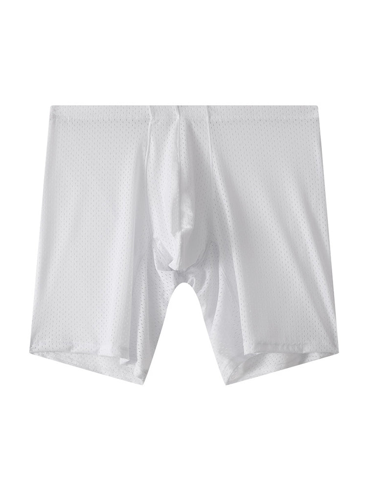 2 Pack Men's Mesh Transparent Sports Fitness Loose Boxer Briefs