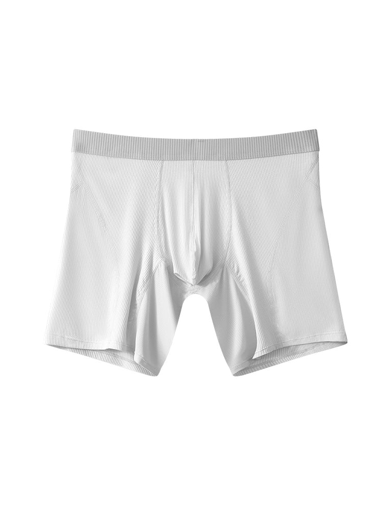 2 Pack Men’s Casual Ice Silk Midway Briefs