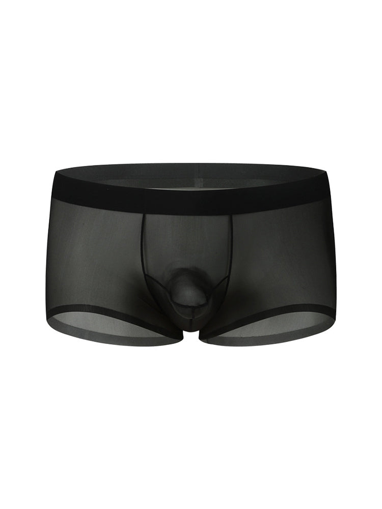 2 Pack Men's Ice Silk Separated Pouch Breathable Stretch Fit Trunks