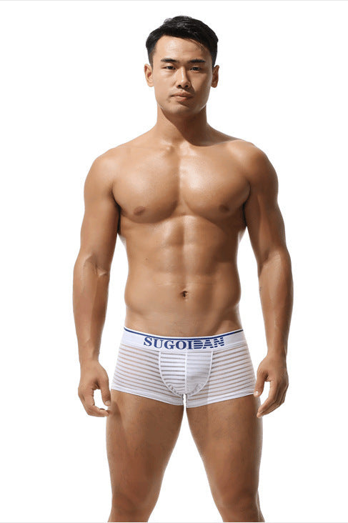 Men's Sexy Transparent Striped Trunks