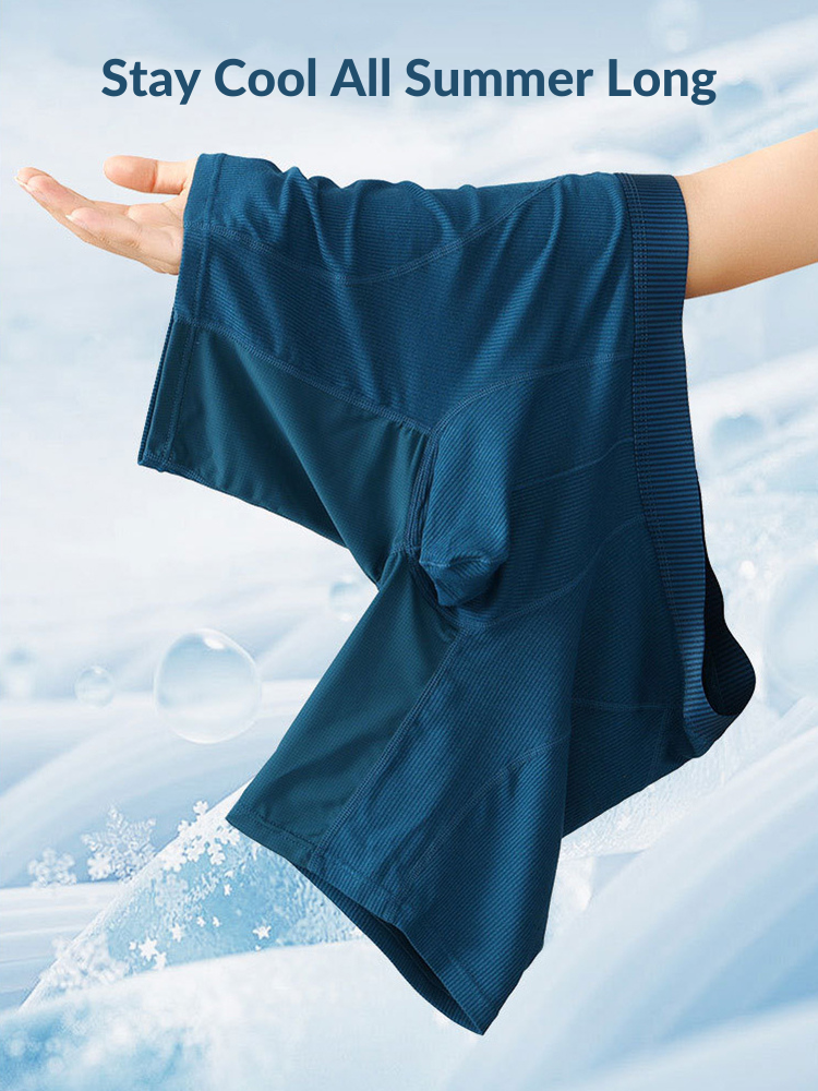 2 Pack Men’s Casual Ice Silk Midway Briefs