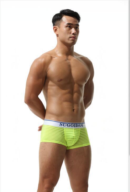 Men's Sexy Transparent Striped Trunks