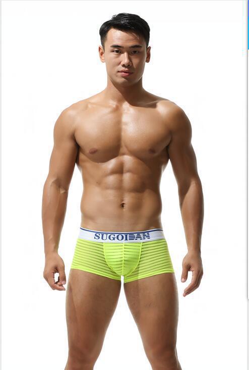 Men's Sexy Transparent Striped Trunks