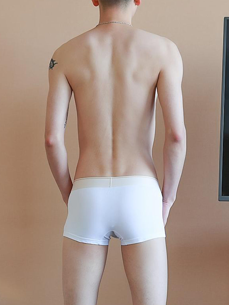 3 Pack Men's Elephant Trunk Separate Cotton Sexy Mid-Rise Solid Color Trunks