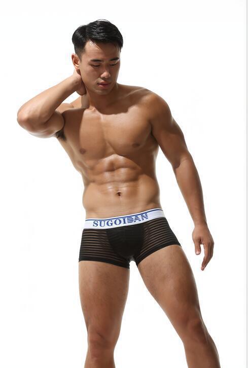 Men's Sexy Transparent Striped Trunks