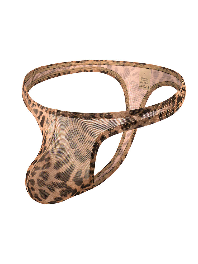 4 Pack Leopard Print See-through Mesh Thongs