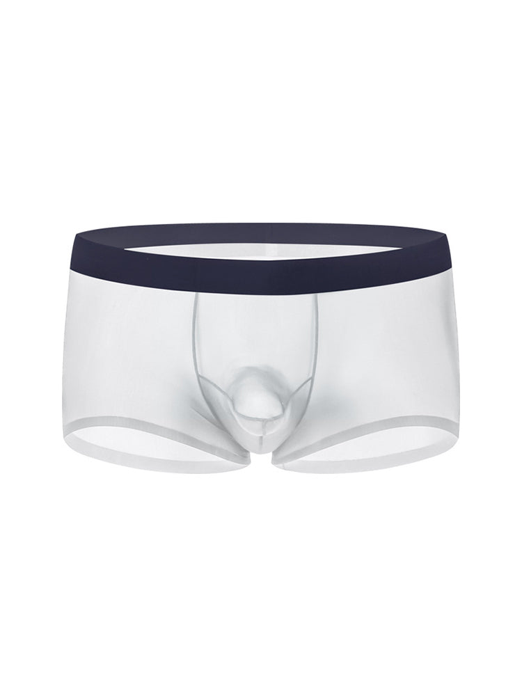 2 Pack Men's Ice Silk Separated Pouch Breathable Stretch Fit Trunks