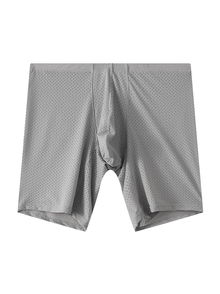 2 Pack Men's Mesh Transparent Sports Fitness Loose Boxer Briefs