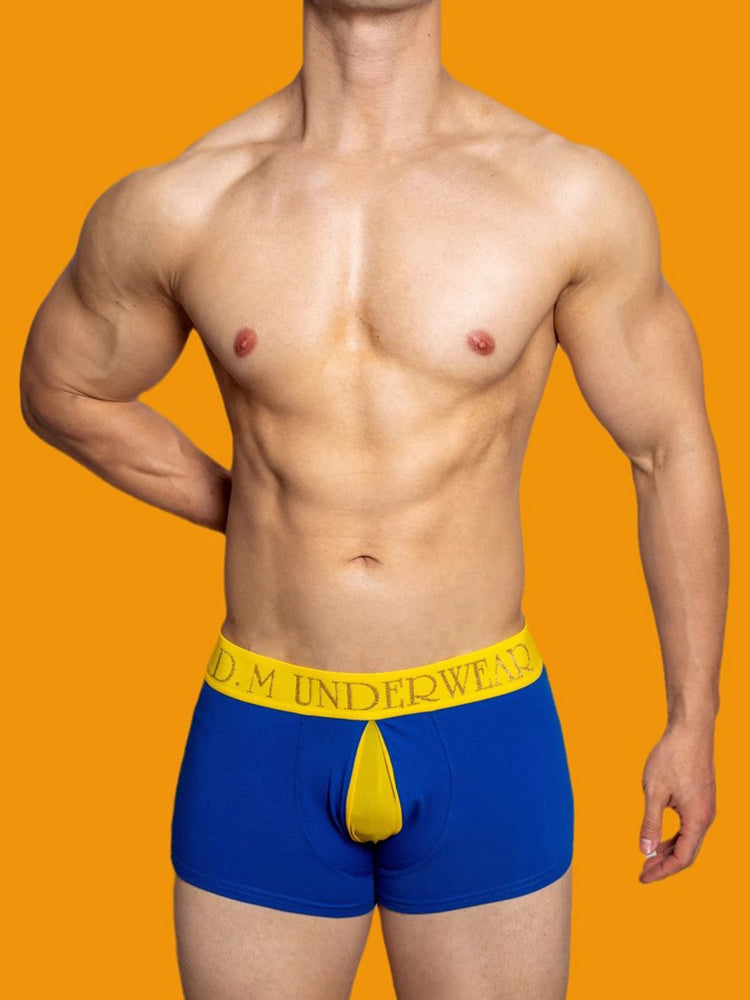 2 Pack Men's Mesh Transparent Open-Cut Cotton Mesh Trunks