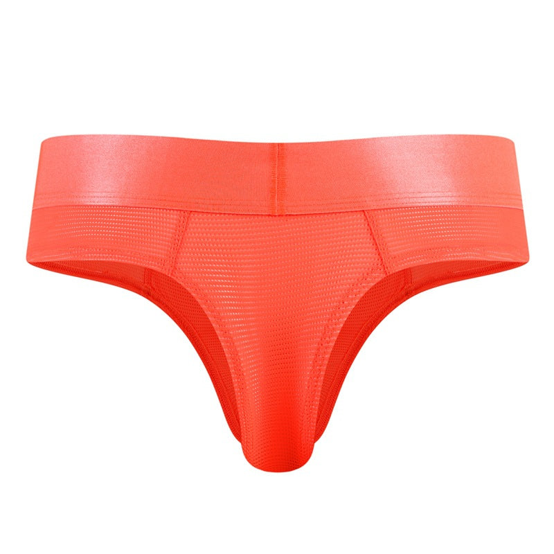 Men’s Sexy Fluorescent Mesh Bikini