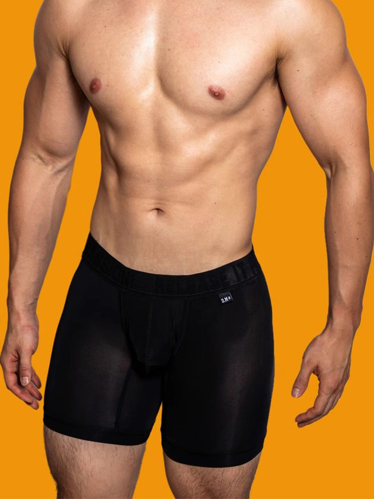 2 Pack Men's Trendy Breathable Ice Silk Boxer Briefs