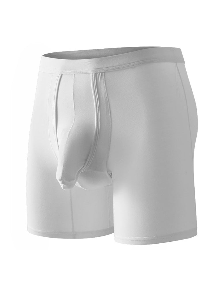 Sexy Separated Ball Pouch Boxer Briefs For Men