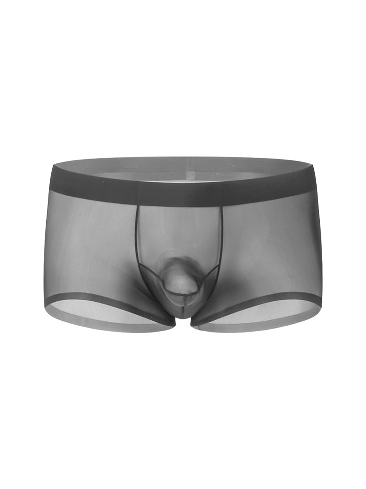 2 Pack Men's Ice Silk Separated Pouch Breathable Stretch Fit Trunks