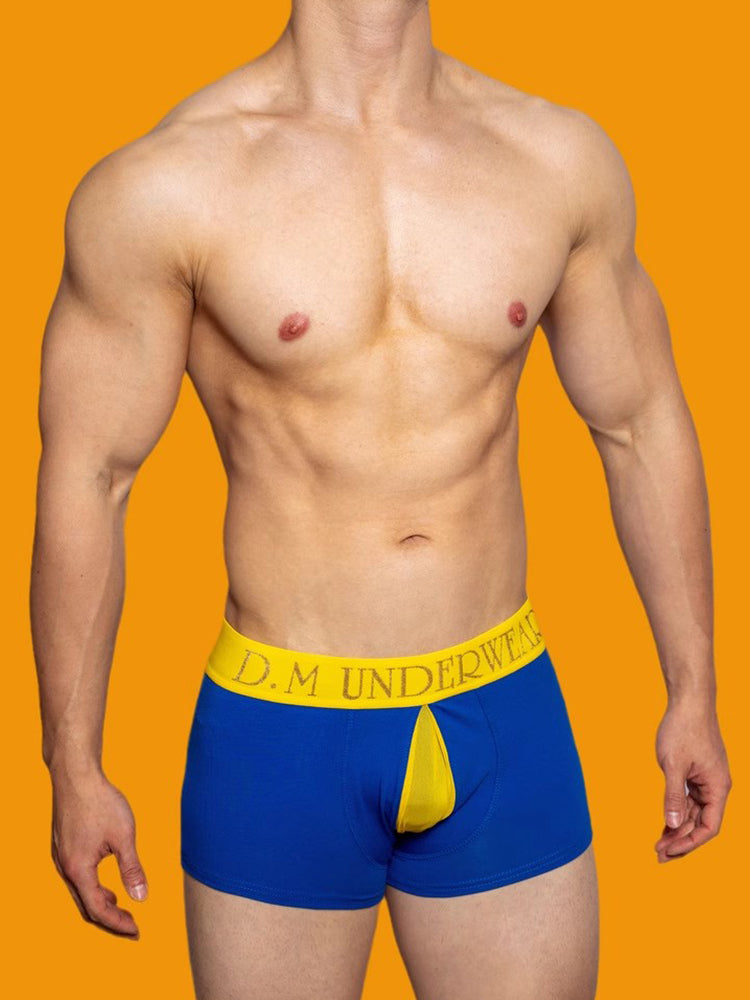 2 Pack Men's Mesh Transparent Open-Cut Cotton Mesh Trunks