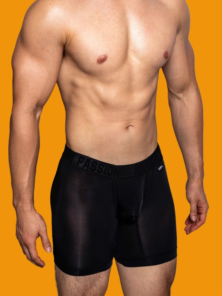 2 Pack Men's Trendy Breathable Ice Silk Boxer Briefs