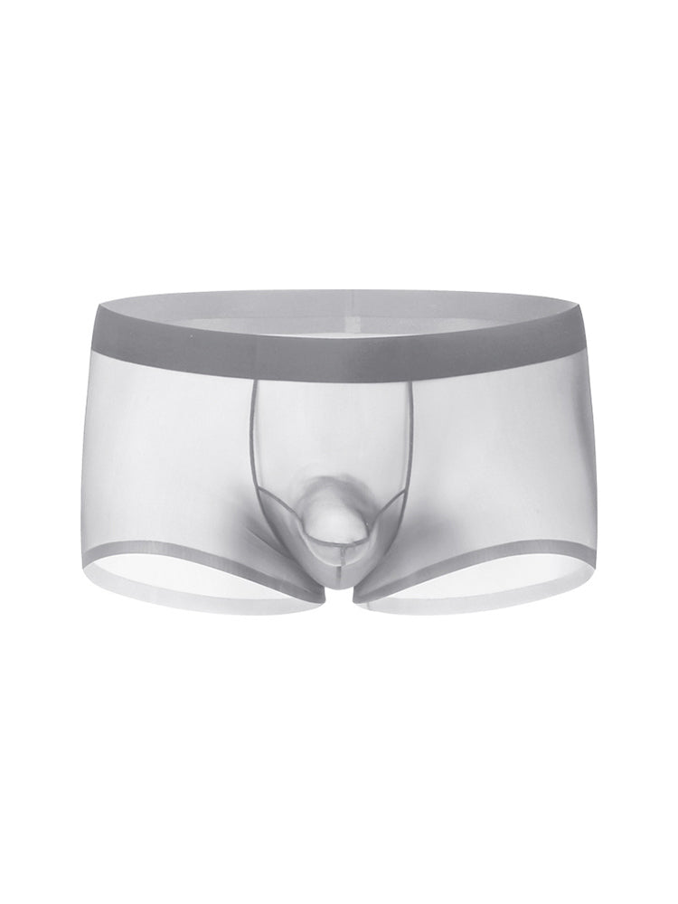 2 Pack Men's Ice Silk Separated Pouch Breathable Stretch Fit Trunks