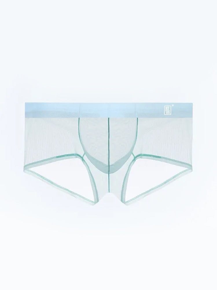 Men's Ultra-thin Low-Rise See-Through Ice Silk Briefs