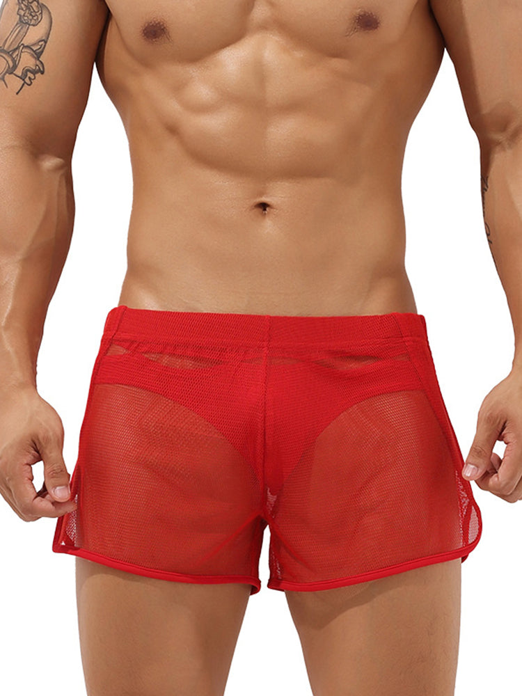Men’s Sexy See Through Mesh Boxer Shorts