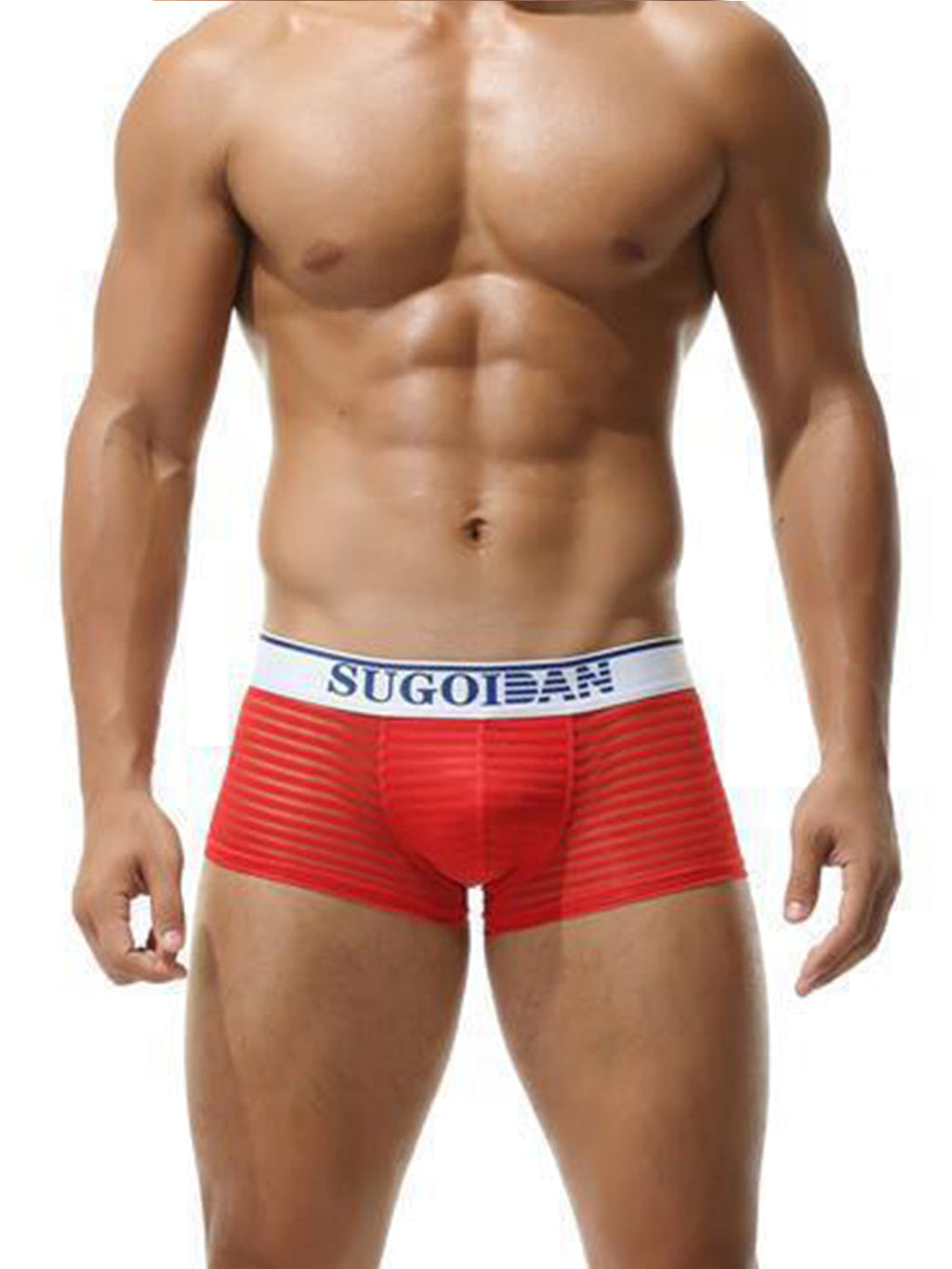 Men's Sexy Transparent Striped Trunks