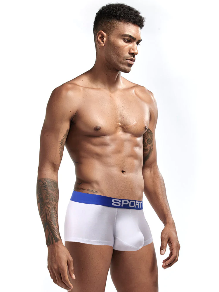 3 Pack Mens Sculpt Bulge Shape Support Pouch Underwear