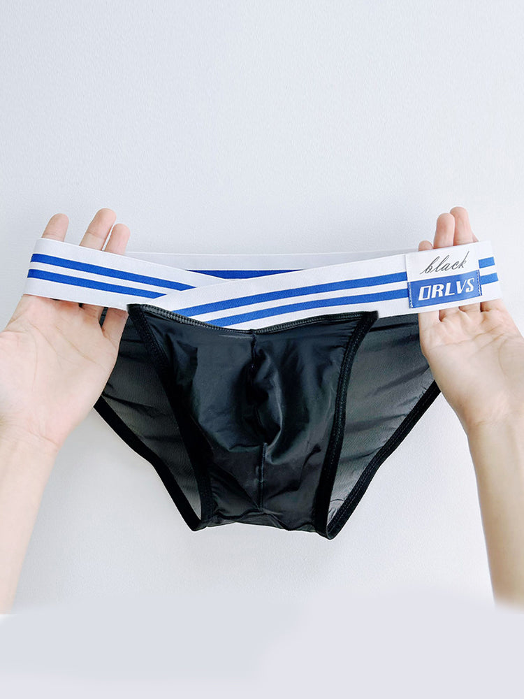 2-pack Men's Sexy Semi-transparent Mesh Briefs