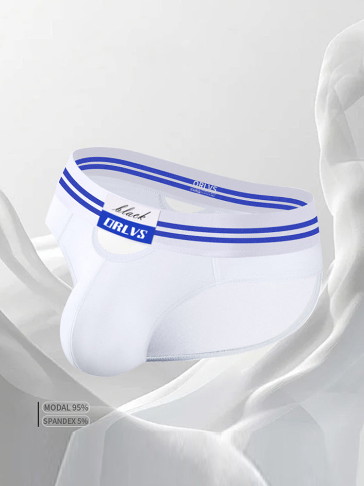 2 Pack Men's Low-Rise Breathable Modal briefs