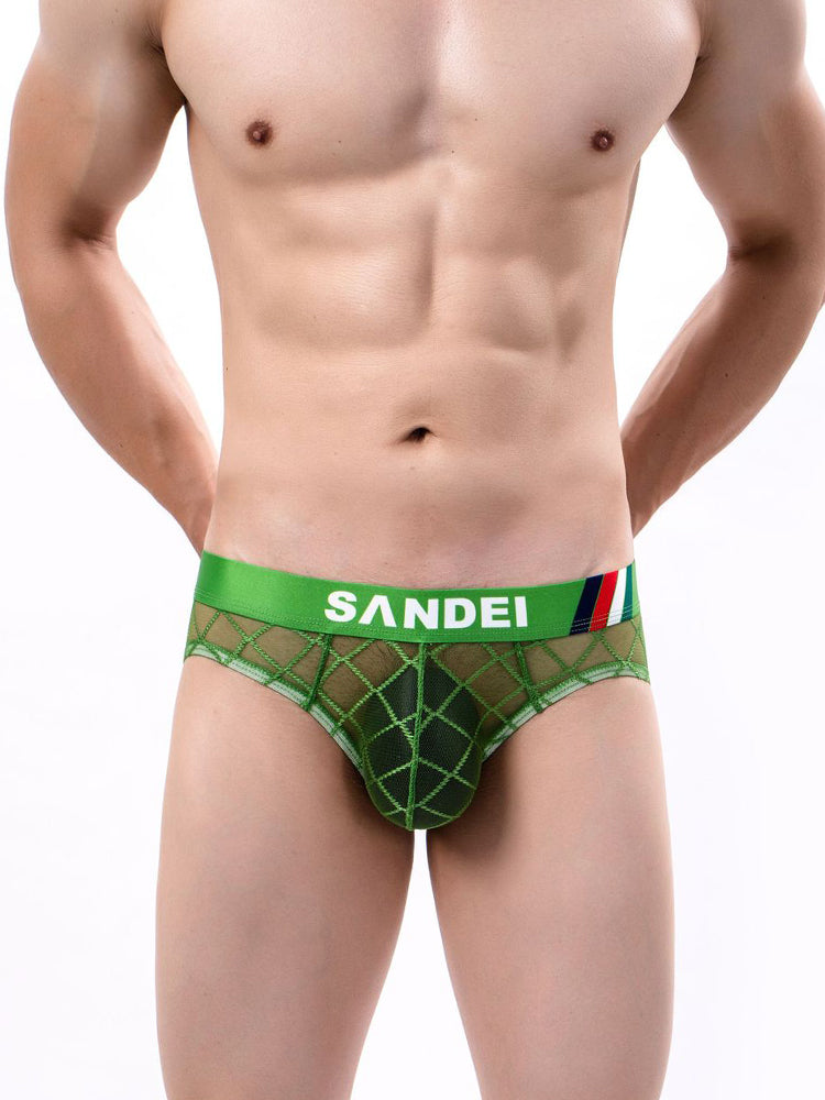 3 Pack Men's Low-Rise Lace Sexy Mesh Briefs And Thongs