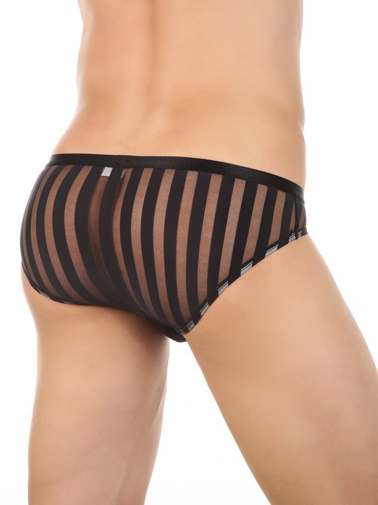 3 Pack Men's Sexy Striped Sheer Mesh Bikini