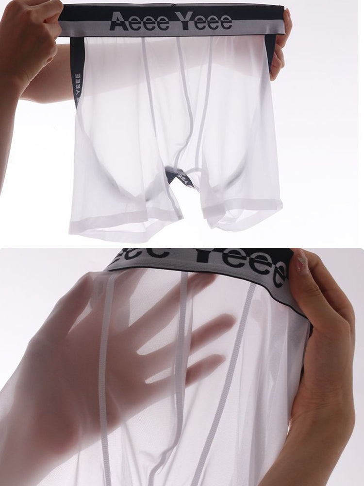 Men's Ice Silk Hip Hollow Mesh Boxer Briefs