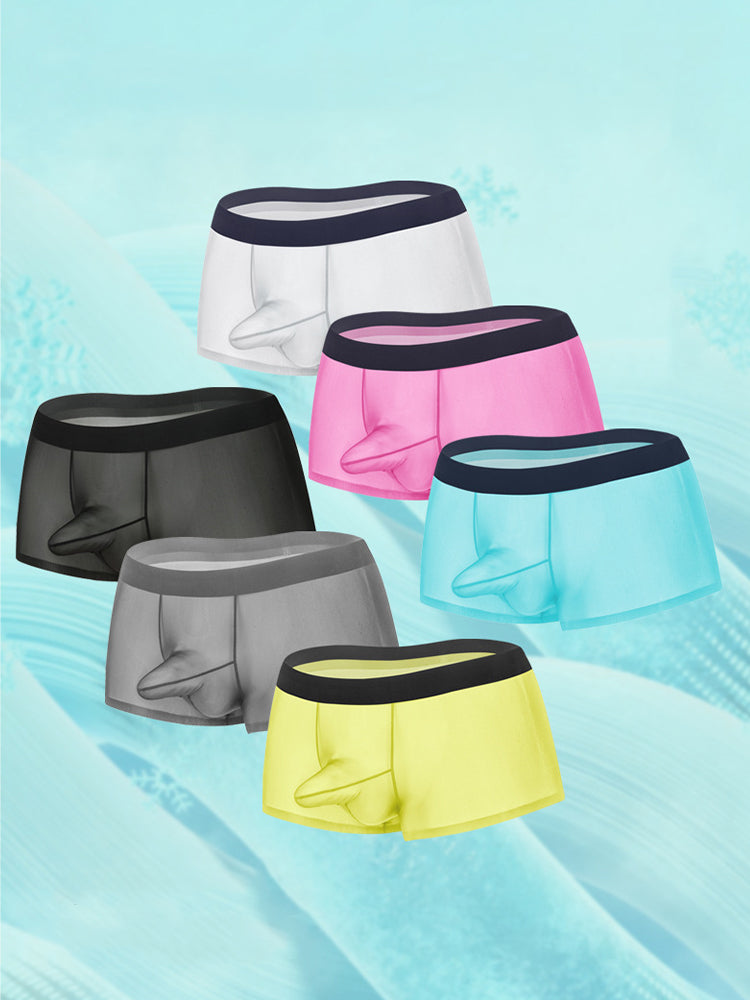 2 Pack Men's Ice Silk Separated Pouch Breathable Stretch Fit Trunks
