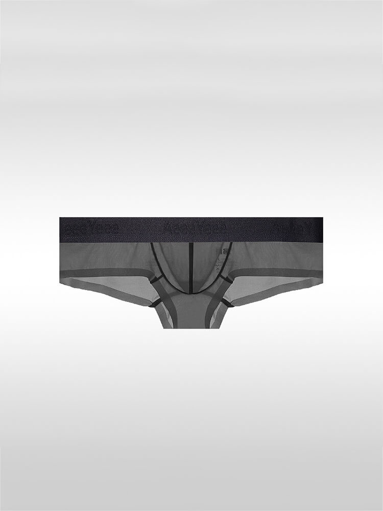 Men's Sexy Low-Rise Stretch Sheer Ice Silk Boxer Briefs