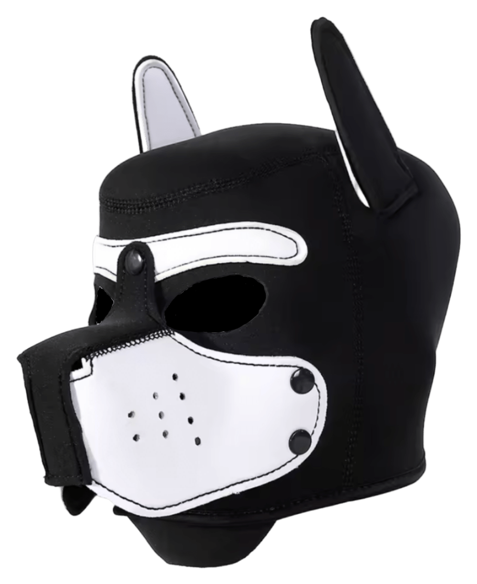Puppies First Hood White