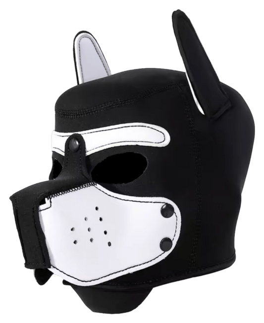 Puppies First Hood White