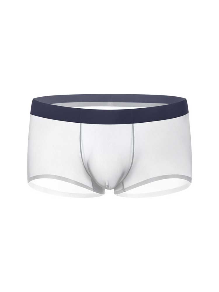 Men's Seamless Low-Rise Sexy Sheer Boxer Briefs