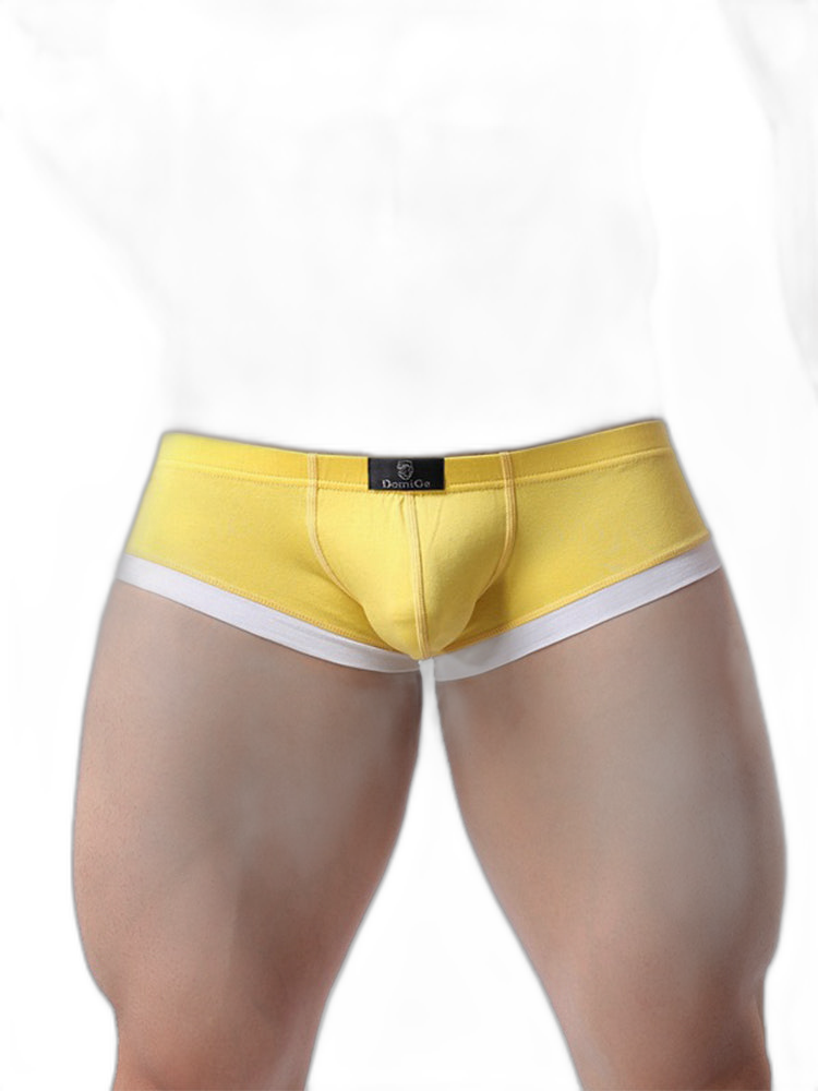 2 Pack Men's Ultra-Soft Modal Breathable Seamless Comfort Low-Rise Trunks