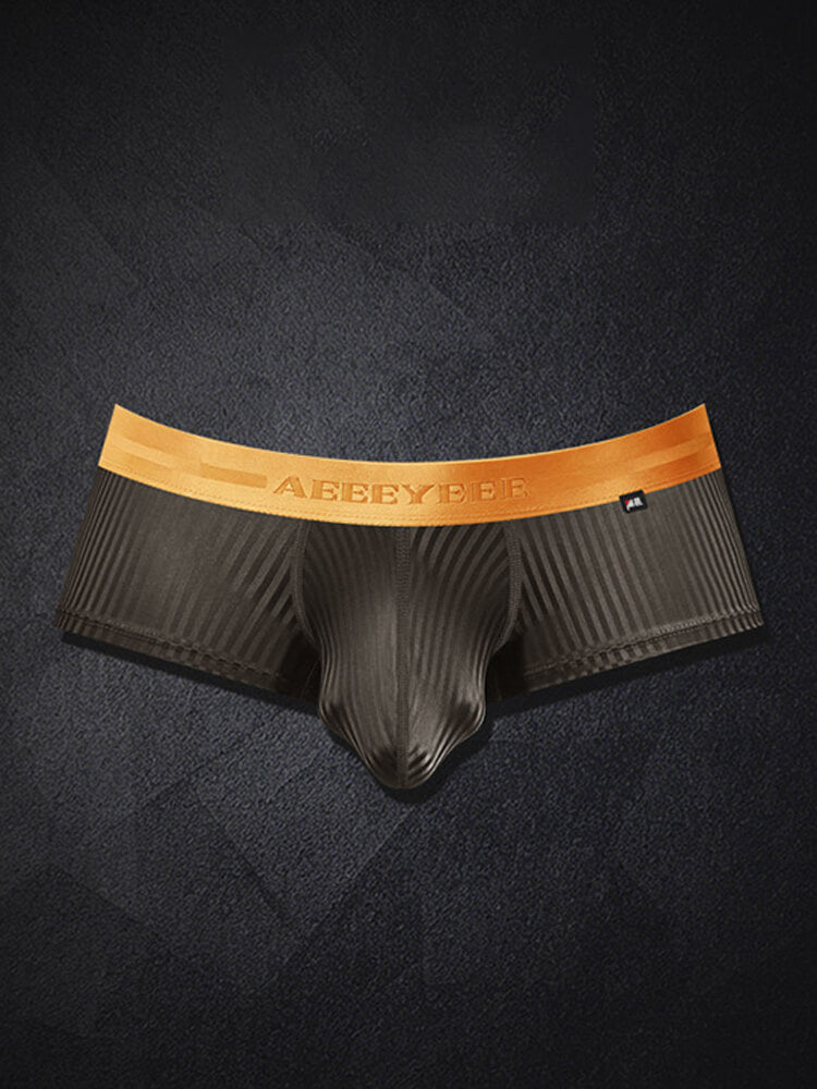 Men's Shiny Stripes Sexy Low-Rise Boxer Briefs
