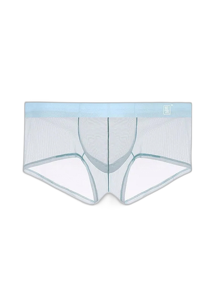 Men's Ultra-thin Low-Rise See-Through Ice Silk Briefs