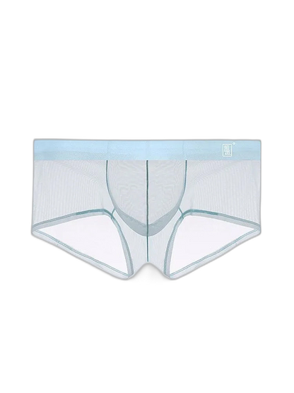 Men's Ultra-thin Low-Rise See-Through Ice Silk Briefs