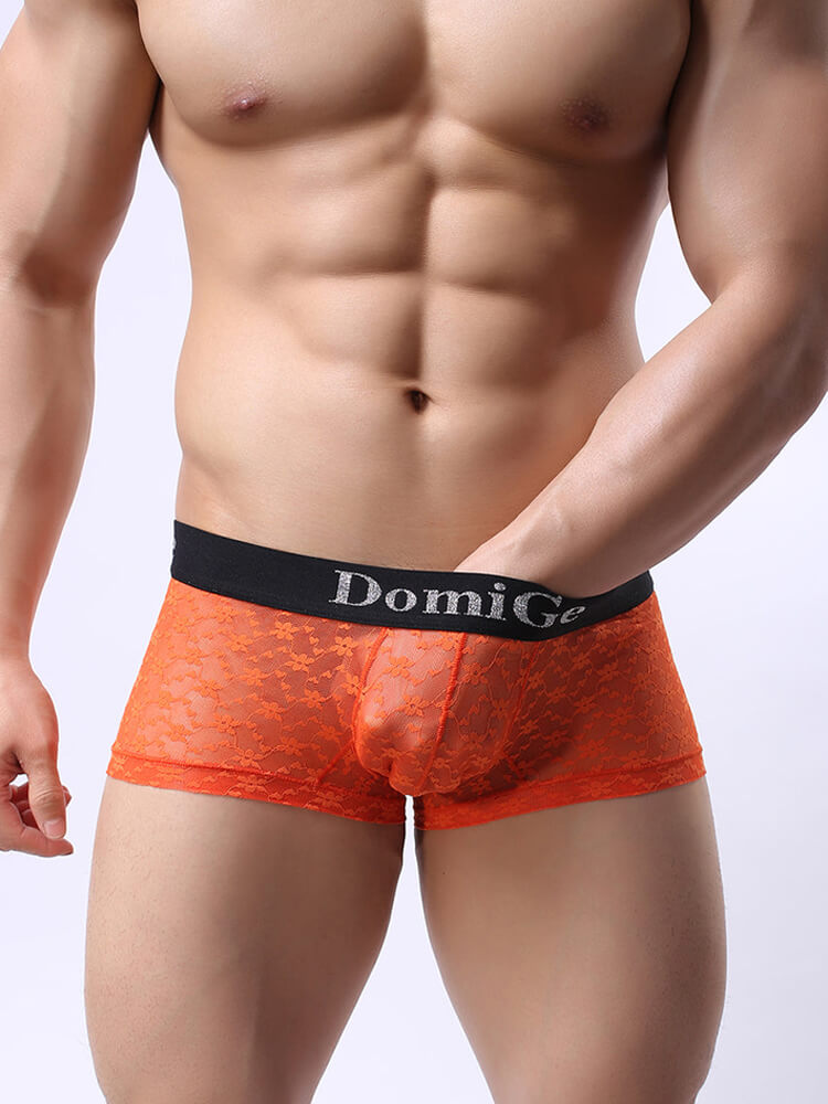 Men's Translucent Mesh Spotted Trunks