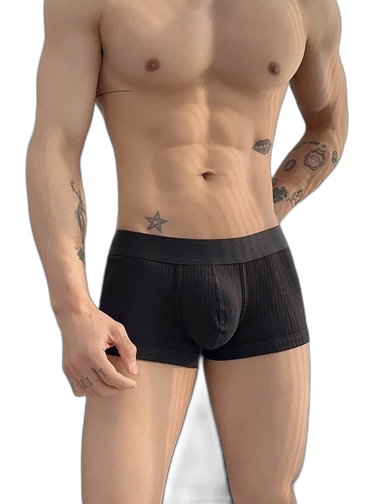 2 Pack Men's Ultra-Soft Premium Pure Cotton Comfy Waistband Seamless Trunks