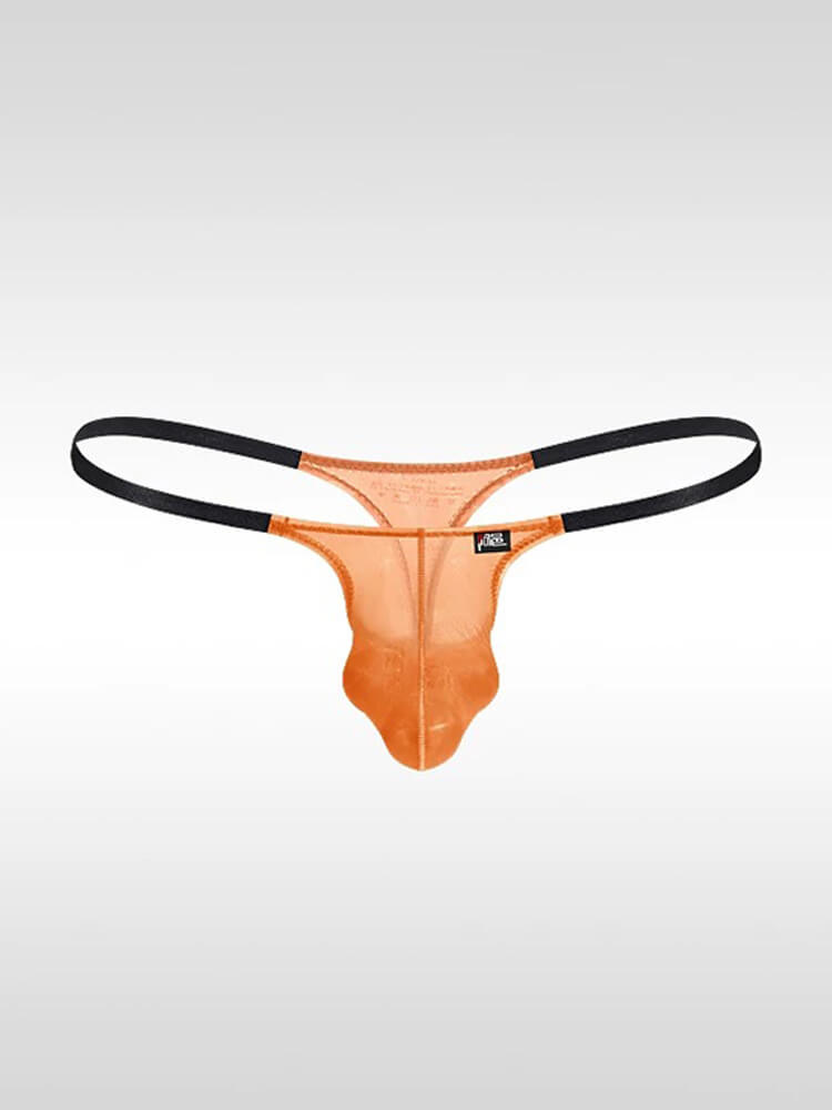 Men's Ultra-Thin Sexy Sheer High-Cut Underwear
