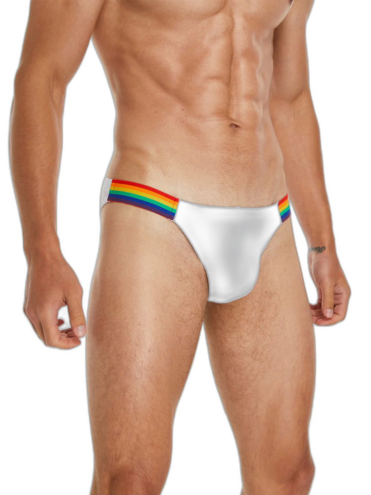 Men's Sexy Rainbow Pride Mesh Bikini