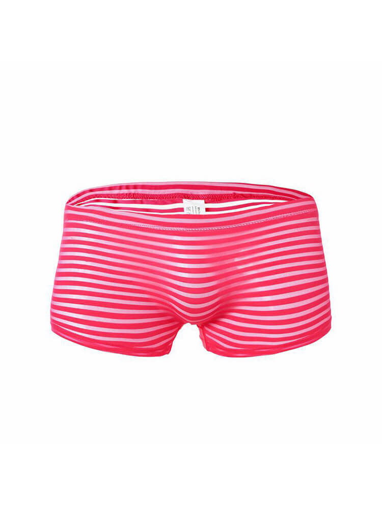 Men's Striped Mesh See-Through Boxer Briefs