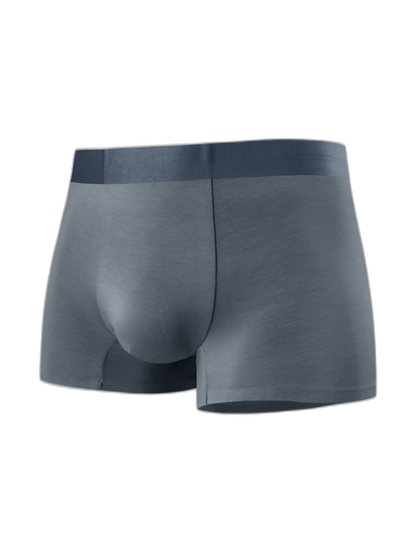 2 Pack Men's Anti-Bacterial Modal Trunks