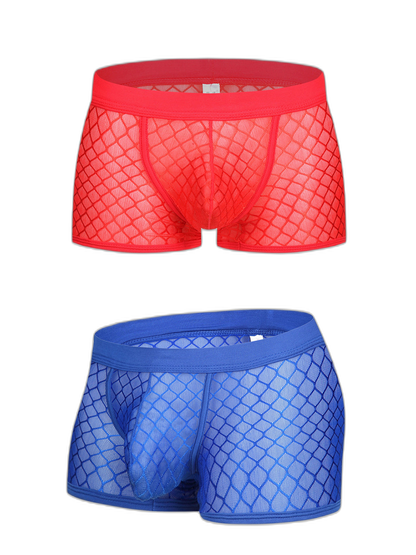 2 Pack Men's Sexy Transparent Mesh Trunks