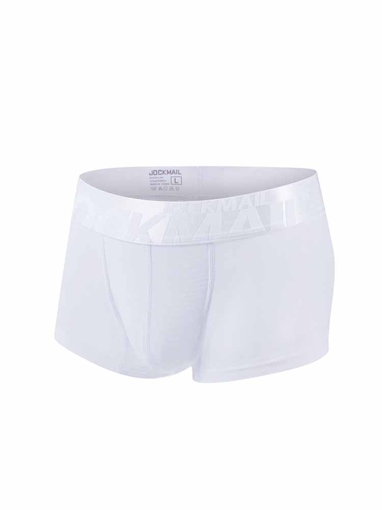 Men's Transparent Mesh Trunks