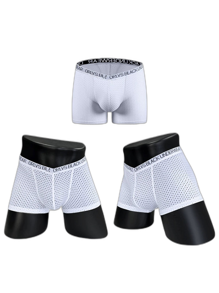2 Pack Men's Sexy V-shape Waistband Mesh Trunks