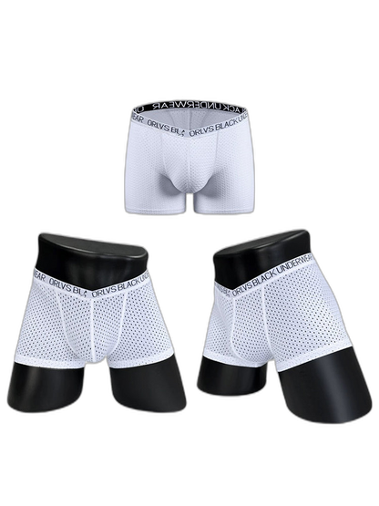 2 Pack Men's Sexy V-shape Waistband Mesh Trunks